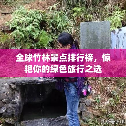 全球竹林景点排行榜,惊艳你的绿色旅行之选