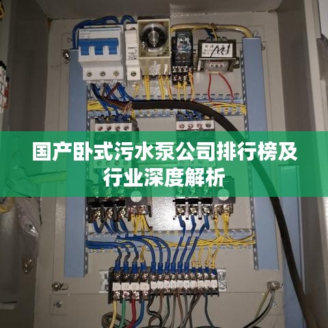 国产卧式污水泵公司排行榜及行业深度解析