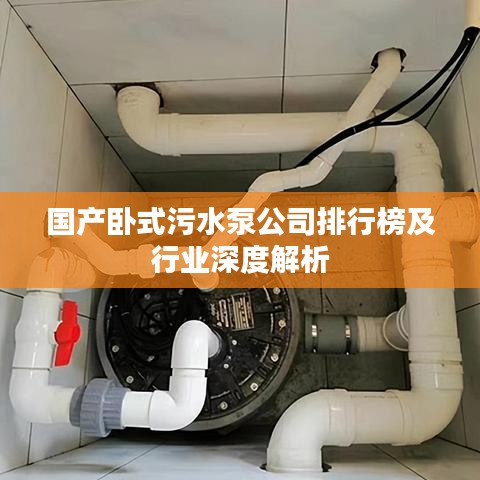 国产卧式污水泵公司排行榜及行业深度解析