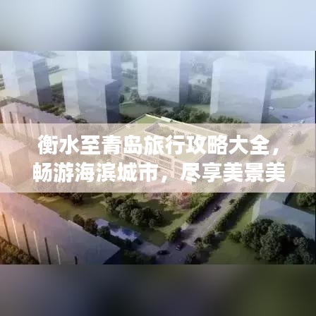 衡水至青岛旅行攻略大全,畅游海滨城市,尽享美景美食!