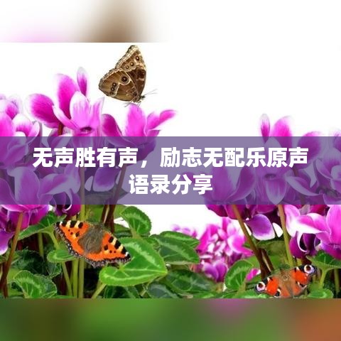 无声胜有声,励志无配乐原声语录分享
