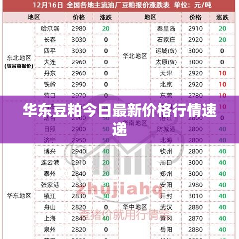 华东豆粕今日最新价格行情速递