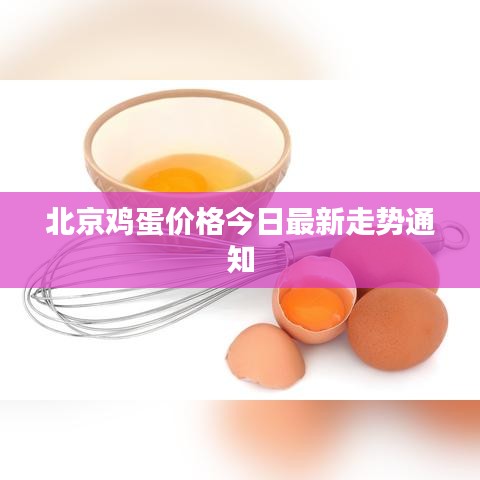 北京鸡蛋价格今日最新走势通知