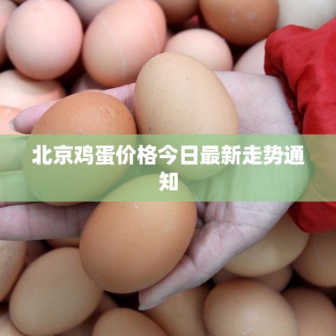 北京鸡蛋价格今日最新走势通知