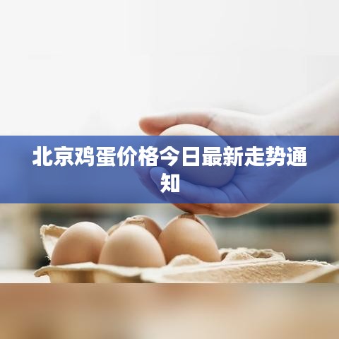 北京鸡蛋价格今日最新走势通知