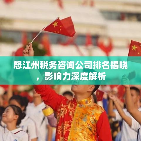 怒江州税务咨询公司排名揭晓,影响力深度解析
