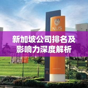 新加坡公司排名及影响力深度解析