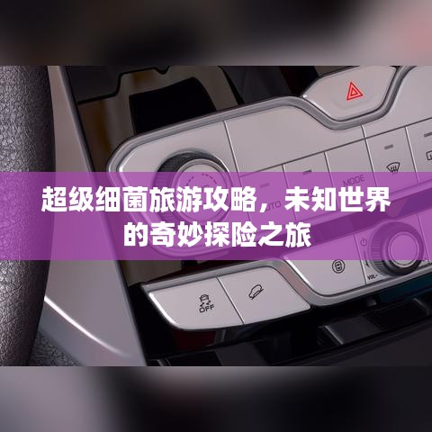 超级细菌旅游攻略,未知世界的奇妙探险之旅