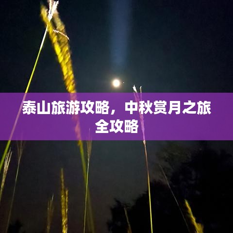 泰山旅游攻略,中秋赏月之旅全攻略