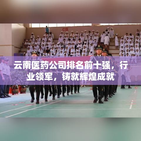 云南医药公司排名前十强,行业领军,铸就辉煌成就