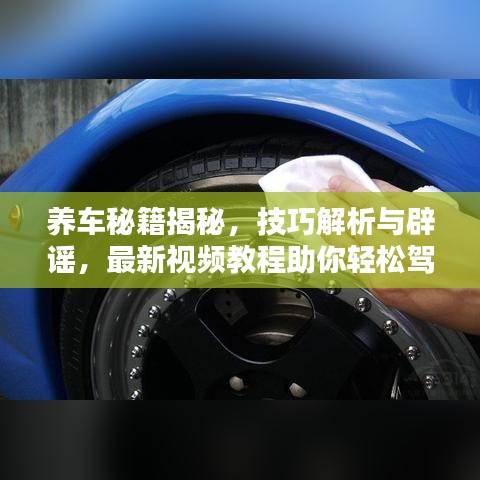 养车秘籍揭秘，技巧解析与辟谣，最新视频教程助你轻松驾驭爱车