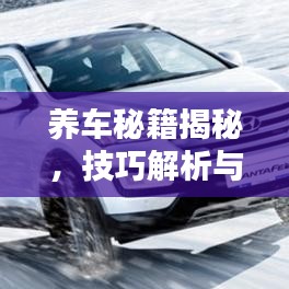 养车秘籍揭秘,技巧解析与辟谣,最新视频教程助你轻松驾驭爱车