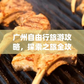 广州自由行旅游攻略,探索之旅全攻略