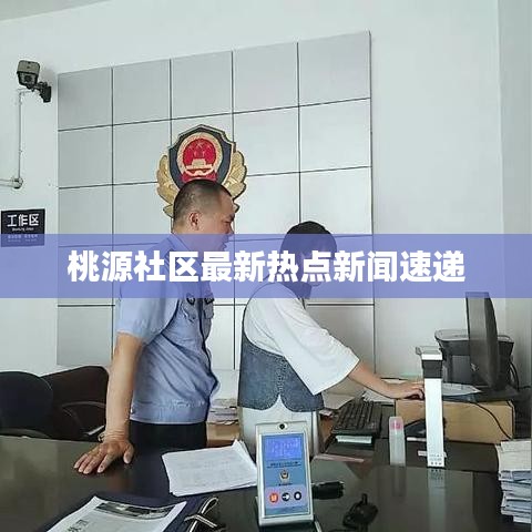 桃源社区最新热点新闻速递
