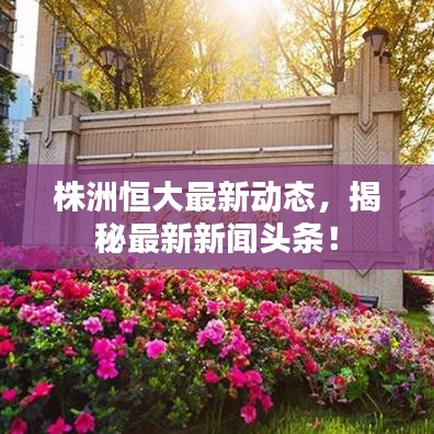 株洲恒大最新动态,揭秘最新新闻头条!