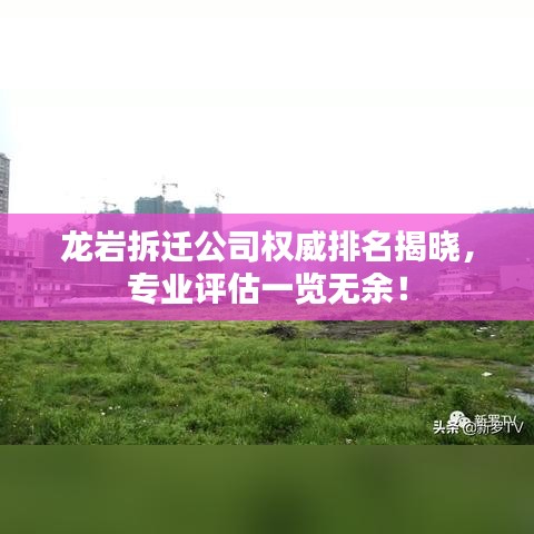 龙岩拆迁公司权威排名揭晓,专业评估一览无余!