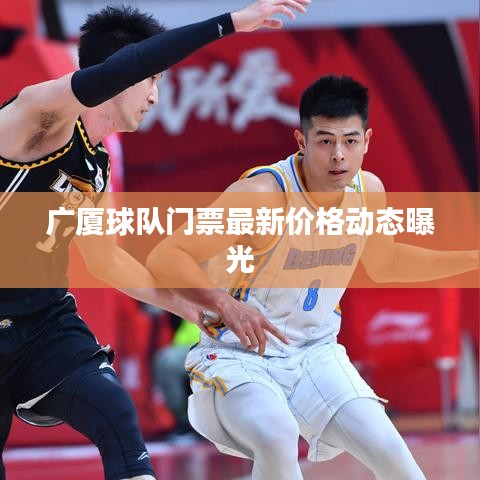 广厦球队门票最新价格动态曝光