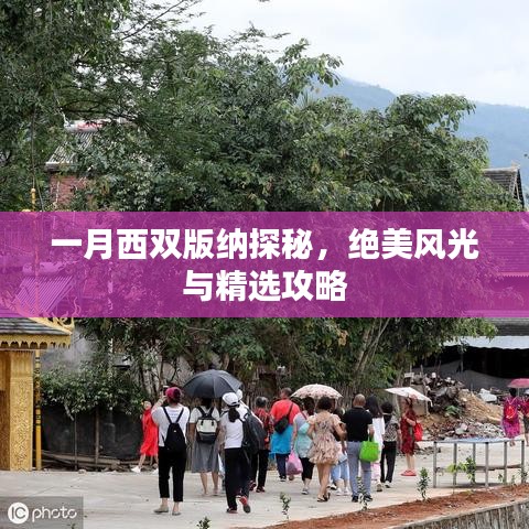 一月西双版纳探秘,绝美风光与精选攻略