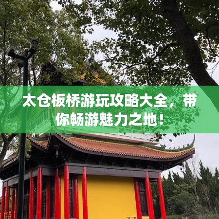 太仓板桥游玩攻略大全，带你畅游魅力之地！