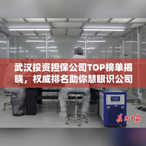 武汉投资担保公司TOP榜单揭晓,权威排名助你慧眼识公司!