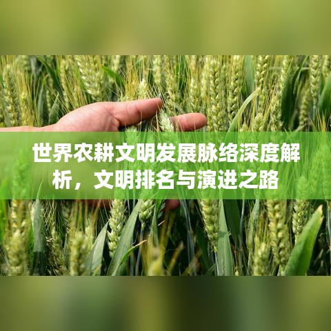 世界农耕文明发展脉络深度解析,文明排名与演进之路