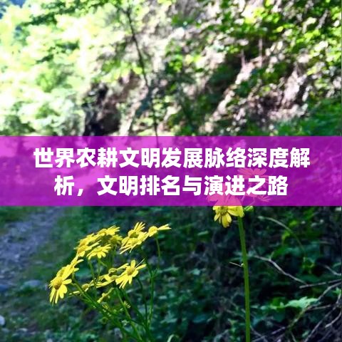 世界农耕文明发展脉络深度解析,文明排名与演进之路