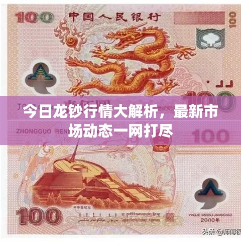 今日龙钞行情大解析，最新市场动态一网打尽
