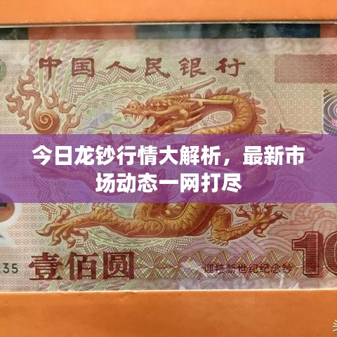今日龙钞行情大解析,最新市场动态一网打尽