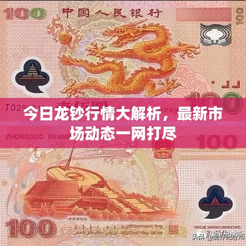 今日龙钞行情大解析,最新市场动态一网打尽