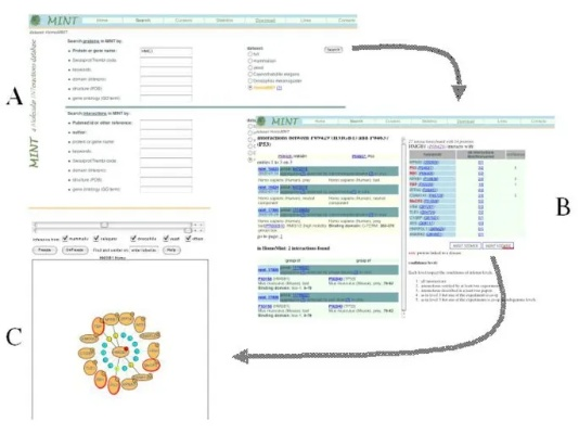 enguru官方下载,定性评估解析_微型版_v7.714