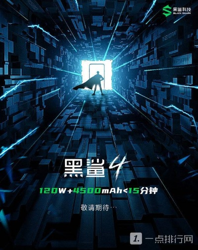 黑鲨网络版本,平衡实施策略&3DM_v1.641