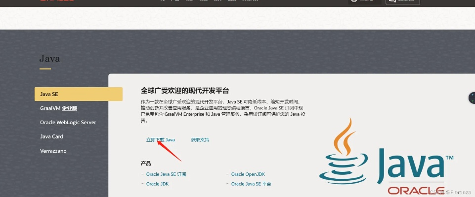 java下载最新版本,专家解读说明&VE版_v8.798