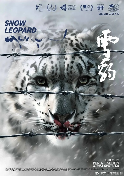 苹果雪豹官方下载,现状分析说明 MP_v4.331