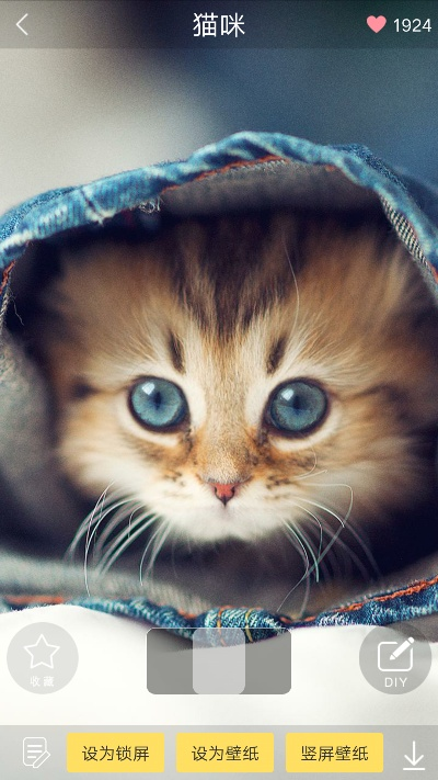 魔秀视频壁纸官方下载,动态说明解析&Lite_v9.145