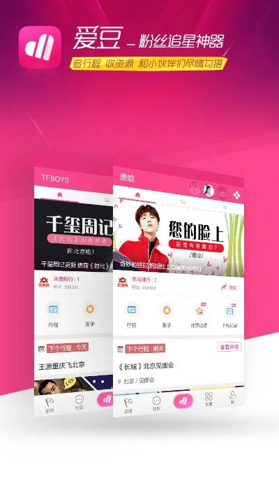 爱豆下载 官方正式版,结构化评估推进_DX版_v10.330