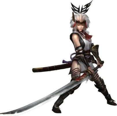 psp讨鬼传版本,专业解析评估&amp;开发版1_v1.320