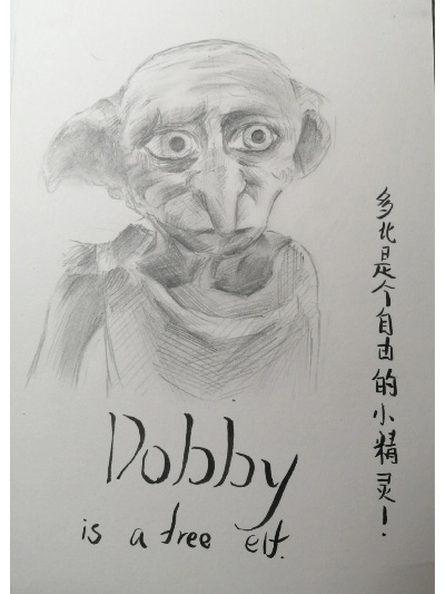 多比老版本,环境适应性策略应用|Tablet_v2.293