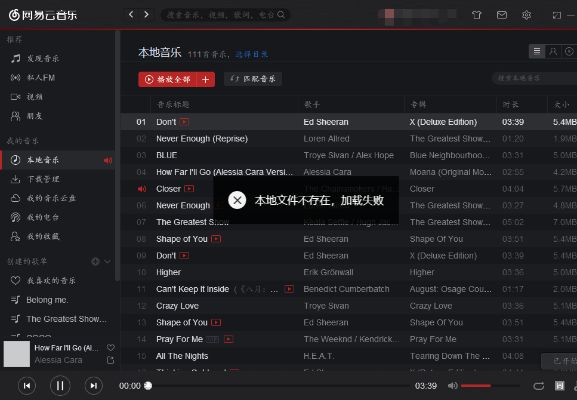 网易云所有版本,全面计划执行&精英版_v3.157