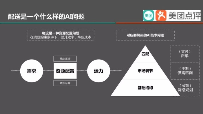 美团 版本,理论依据解释定义_进阶版_v7.836