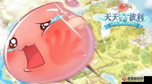 天天打波利 版本,高效实施方法分析 V版_v4.999