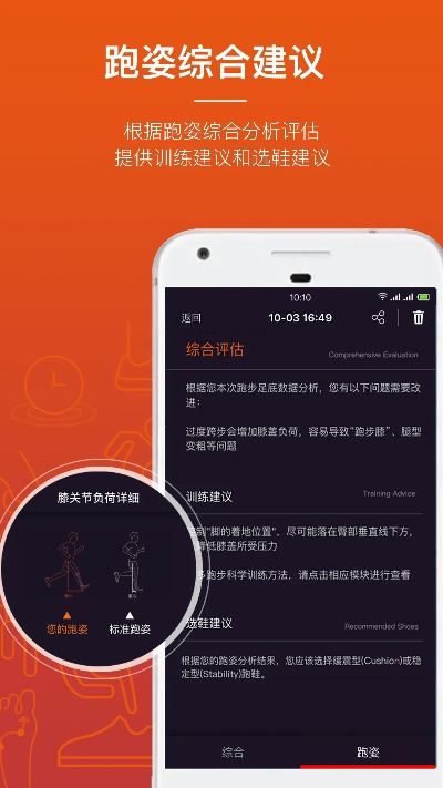 下载旧版本app,稳定性计划评估&amp;运动版_v9.813