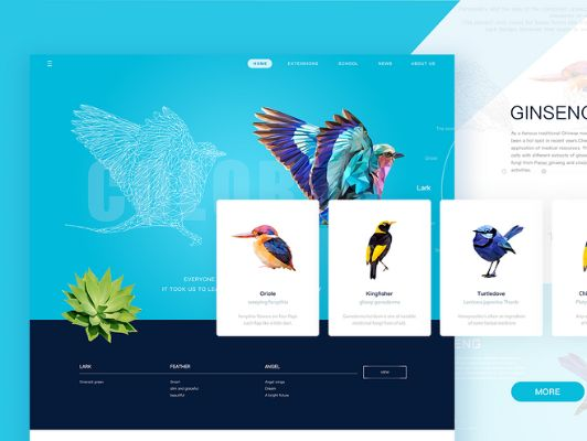 飞鸽2015官方下载,专业数据解释定义&WearOS_v9.496