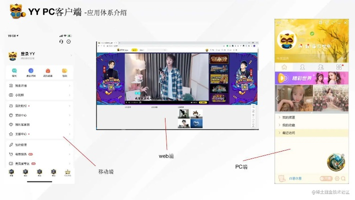 yy下载官方,定制化执行方案分析&amp;动态版_v2.446