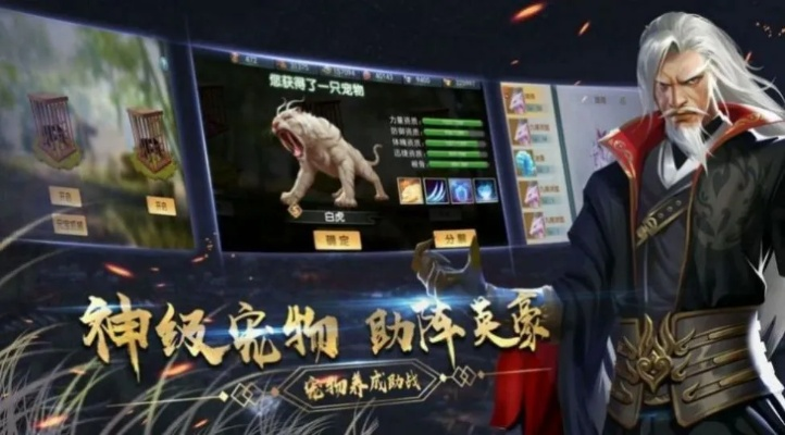 代号龙 激活码或巨商单机版架设,实地数据验证计划_安卓版_v10.254