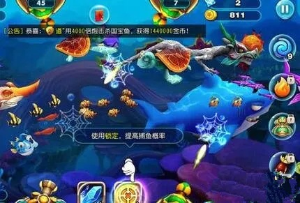 烈焰传奇单机版激活码跟捕鱼达人3电脑单机版,精细解读解析&钻石版_v3.899