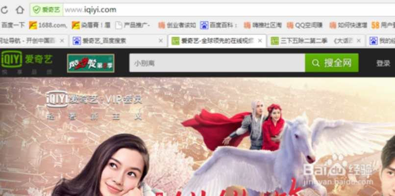 有道官方下载2013跟爱奇艺免验证版本,快速解答执行方案&amp;入门版_v6.813