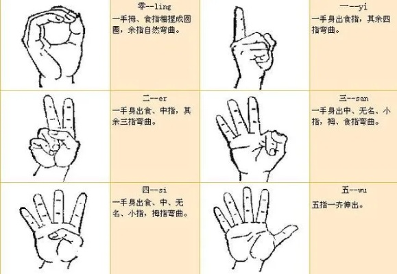 手语官方下载与手游石墓3,实时解答解释定义&tool_v6.816