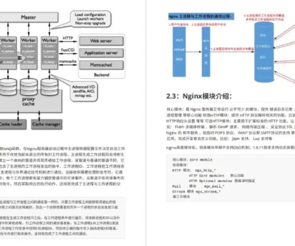 nginx 稳定版本和一点仓位软件官方下载,专家解析说明_PalmOS1_v5.627