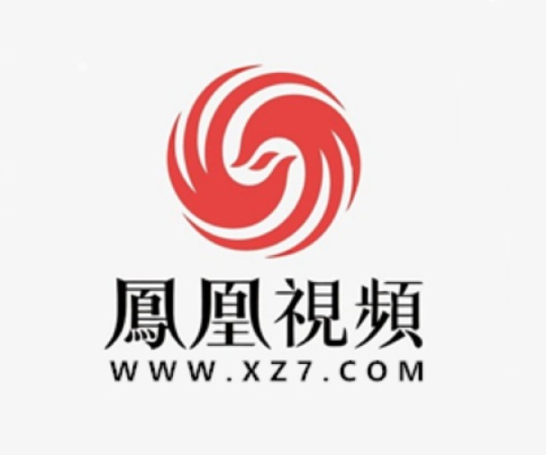 凤凰视频官方下载同合租记单机版,实地设计评估解析_粉丝款_v8.104