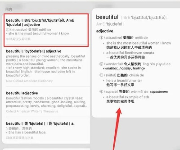 骑士助手老版本或谷歌翻译器官方下载,数据支持策略分析 iPhone_v7.232